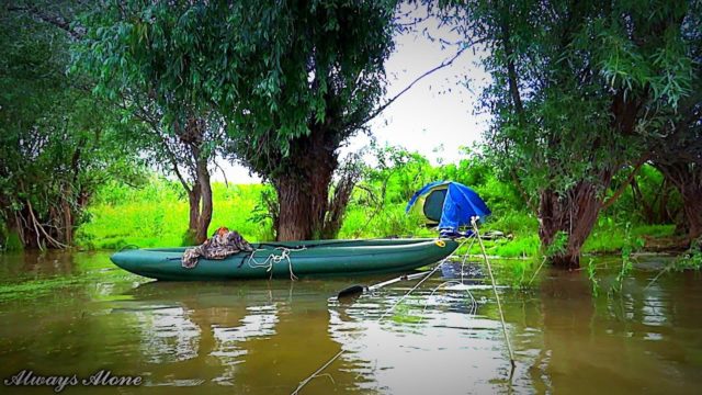 Fishing trips