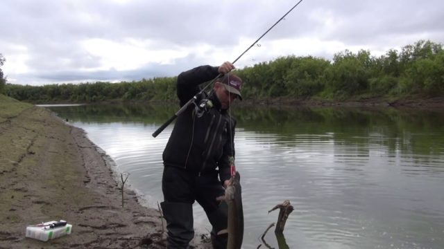 Fishing trips