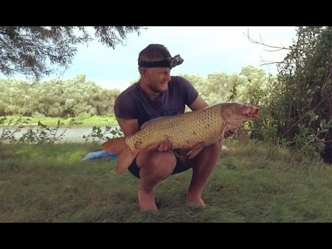 Fishing trips