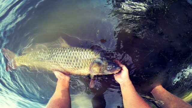 Fishing trips