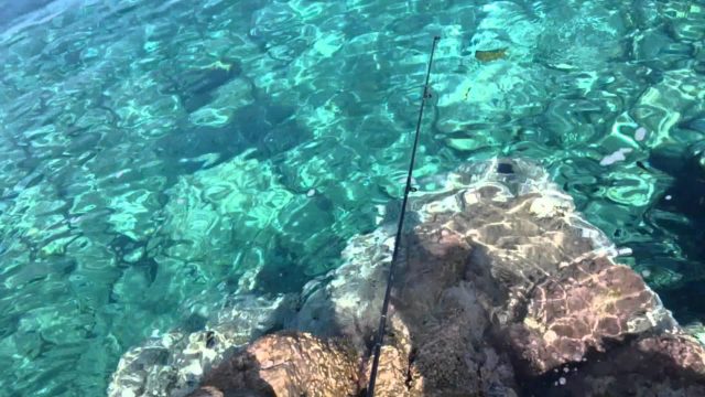Fishing trips