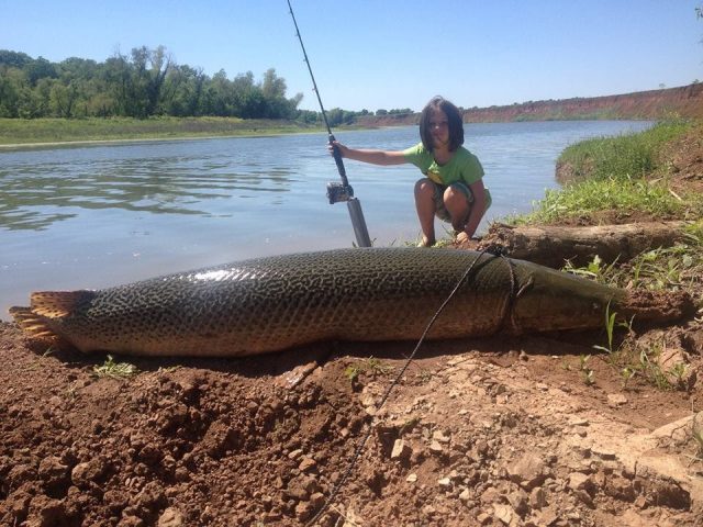 Fishing trips