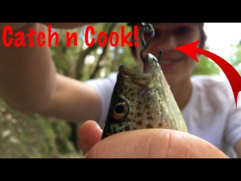 Fishing trips