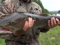 Russia – Fishing for taimen and pike on the rivers of Yakutia PART 2 Pike on spinning.