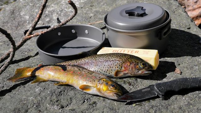 Catch and Cook and Camp Ep. 3 * Solo 2 Night 3 Days in the Wild * No Tent Adventure traveling