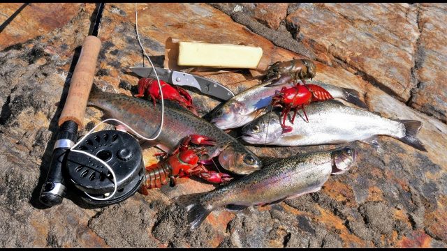 Catch and Cook and Camp Ep. 4 *WILD Trout, WILD Bass, WILD Crayfish* Adventure traveling