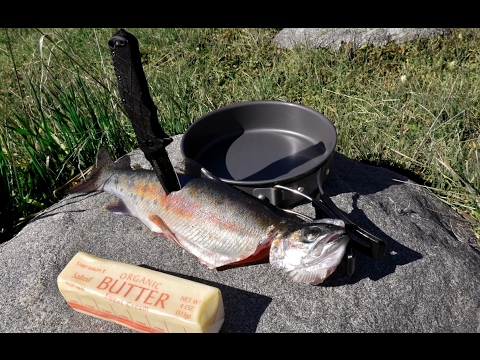Catch and Cook and Camp Episode 2: WILD TROUT!! Adventure traveling